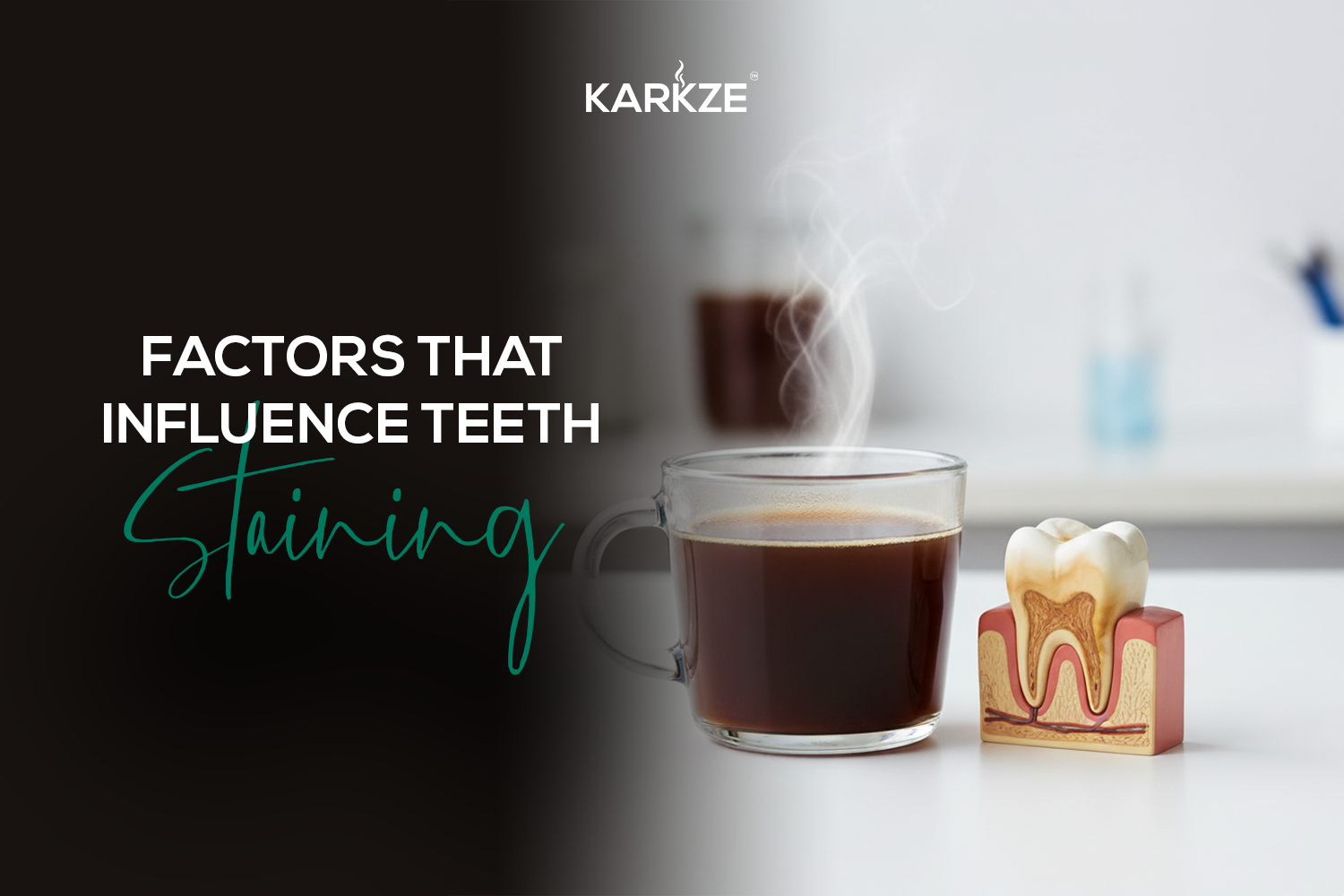 Factors That Influence Teeth Staining (Even with Mushroom Coffee)