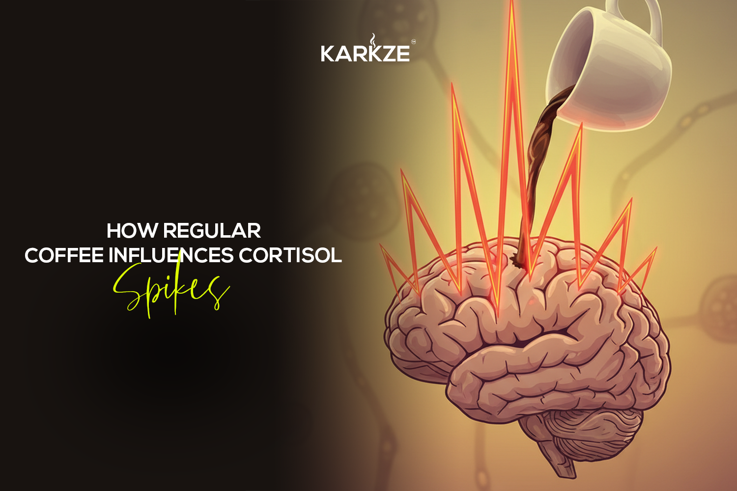 How Regular Coffee Influences Cortisol Spikes