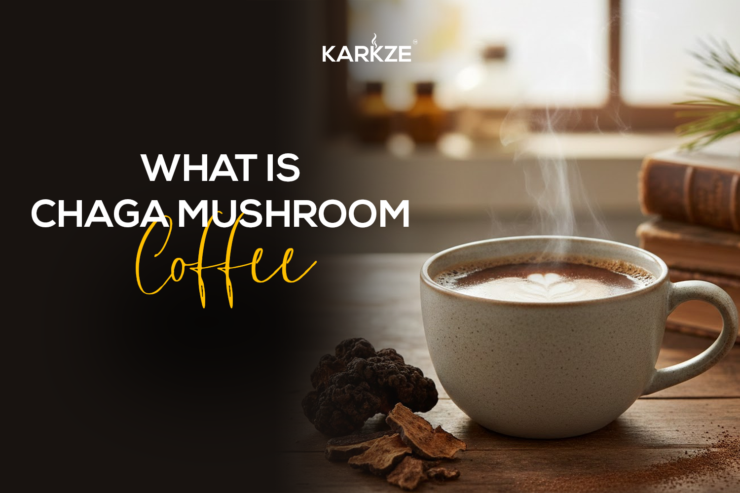 What Is Chaga Mushroom Coffee